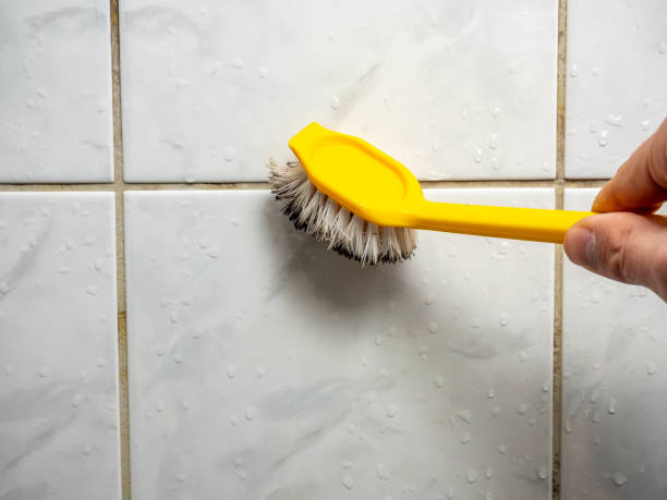 Best Mold Removal Near Me  in Cornersville, TN