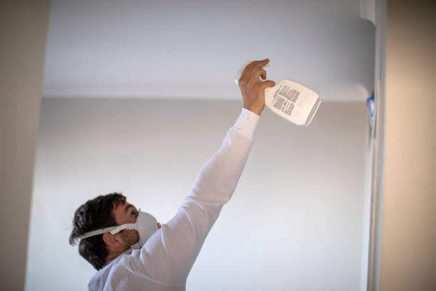 Best Best Mold Removal Companies  in Cornersville, TN