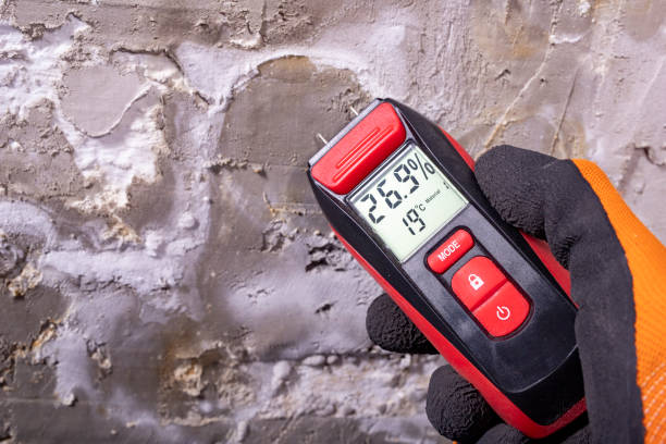 Best Mold Cleaning Services  in Cornersville, TN