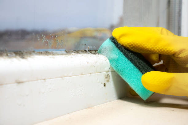 Best Mold Testing  in Cornersville, TN